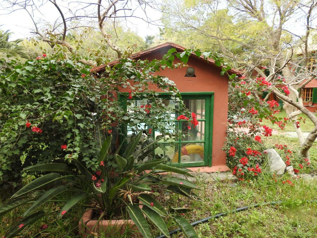 La Casa Del Molino De Viento Villa Agaete  Exterior photo